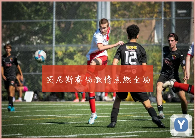 突尼斯赛场激情点燃全场