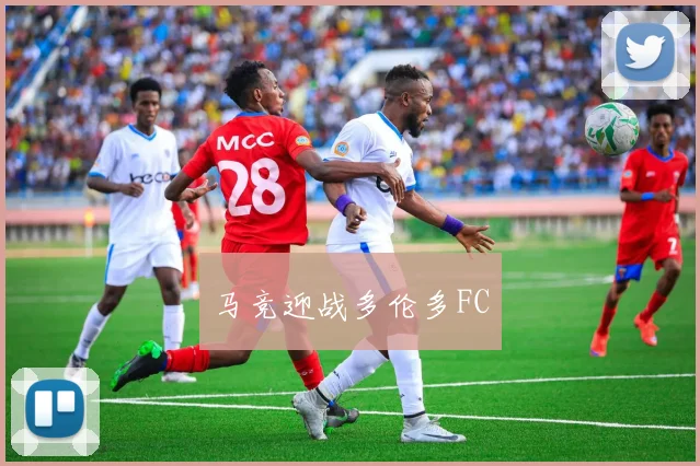 马竞迎战多伦多FC