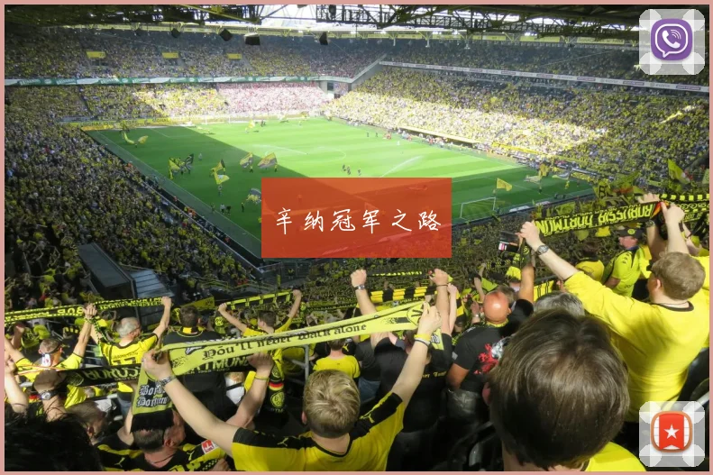 辛纳冠军之路