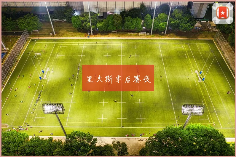 里夫斯季后赛夜