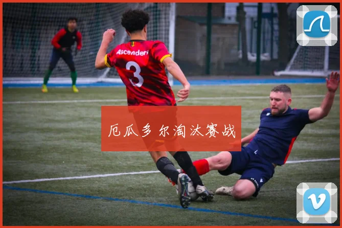 厄瓜多尔淘汰赛战