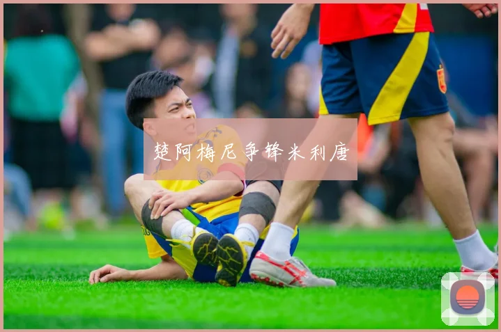 楚阿梅尼争锋米利唐