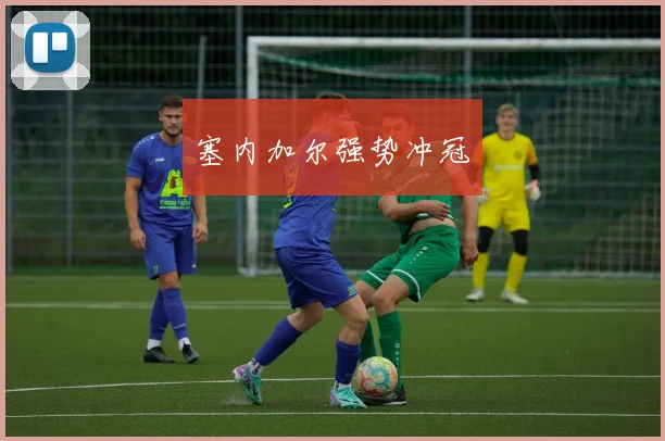 塞内加尔强势冲冠