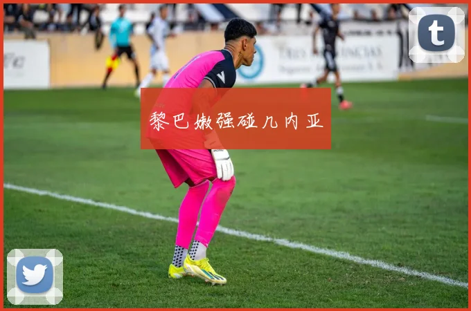 黎巴嫩强碰几内亚