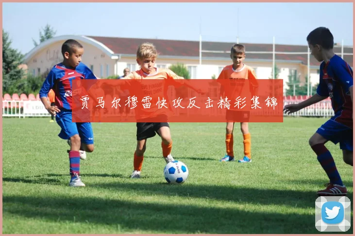 贾马尔穆雷快攻反击精彩集锦