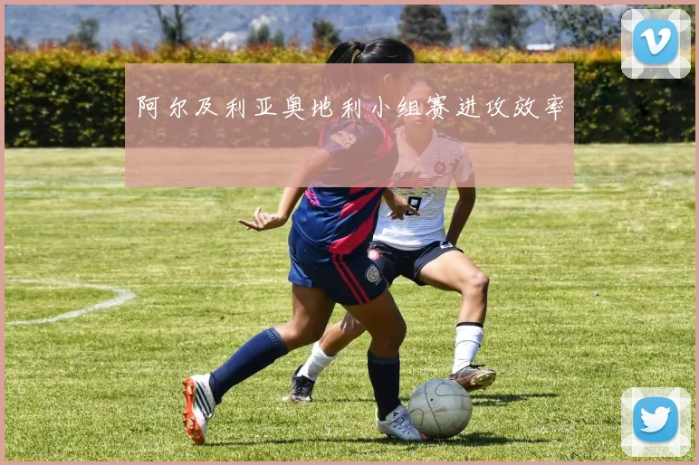 阿尔及利亚奥地利小组赛进攻效率