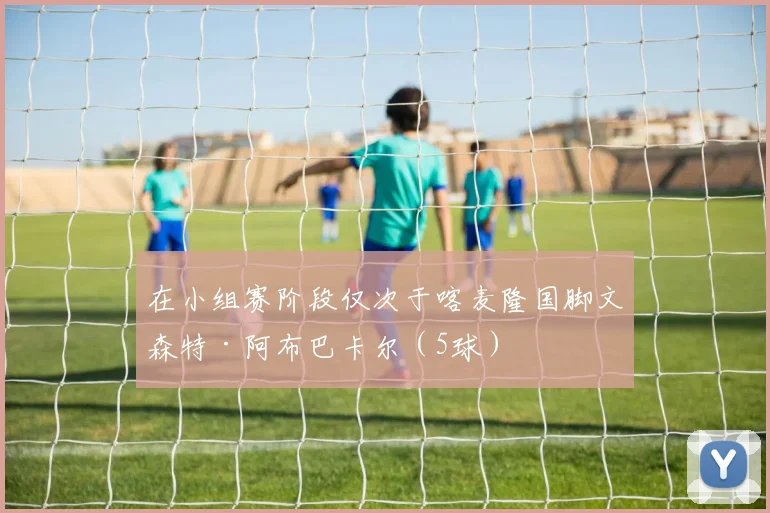 在小组赛阶段仅次于喀麦隆国脚文森特·阿布巴卡尔（5球）