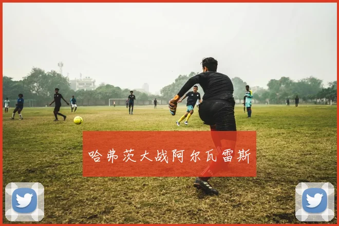 哈弗茨大战阿尔瓦雷斯