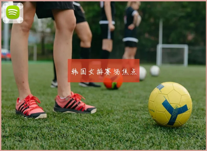 韩国女排赛场焦点