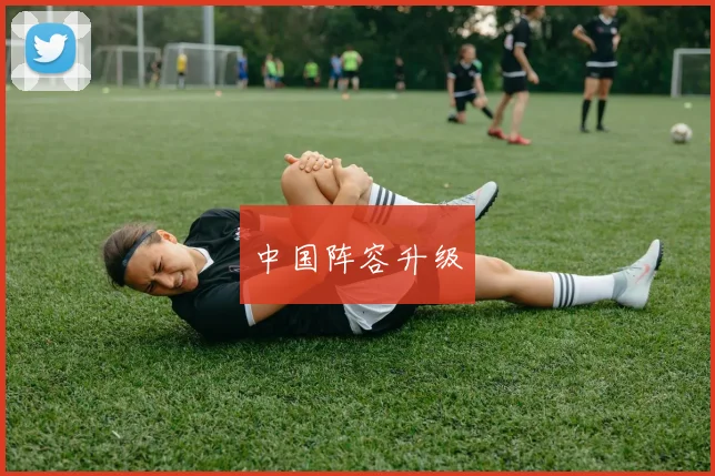 中国阵容升级