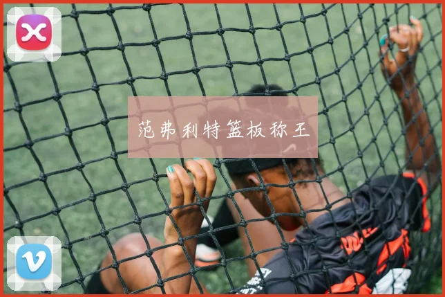 范弗利特篮板称王