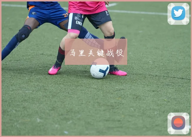 马里关键战役