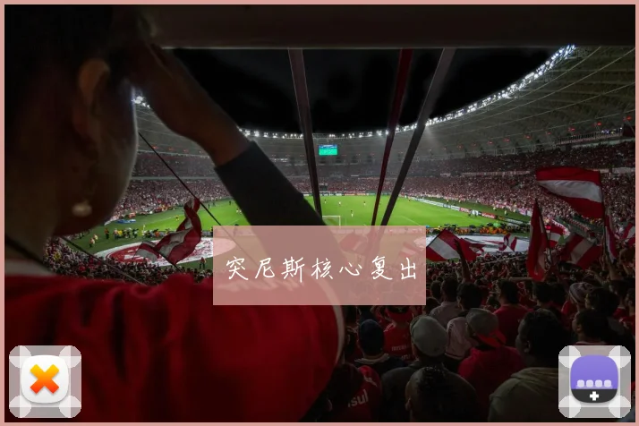 突尼斯核心复出