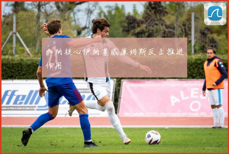 加纳核心伊纳基威廉姆斯反击推进作用