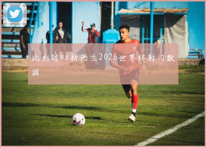比利时vs新西兰2026世界杯射门数据