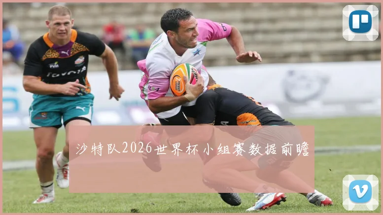 沙特队2026世界杯小组赛数据前瞻