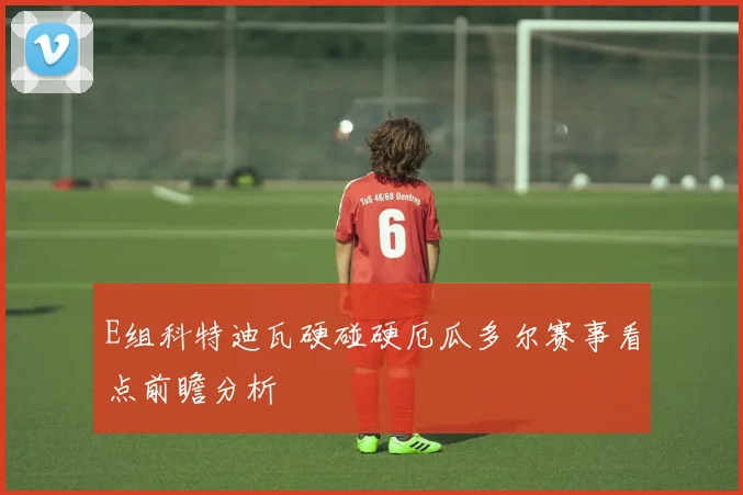 E组科特迪瓦硬碰硬厄瓜多尔赛事看点前瞻分析