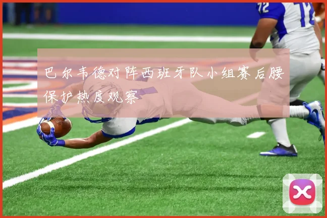 巴尔韦德对阵西班牙队小组赛后腰保护热度观察