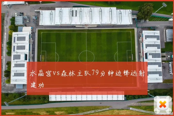 水晶宫vs森林主队79分钟边锋远射建功